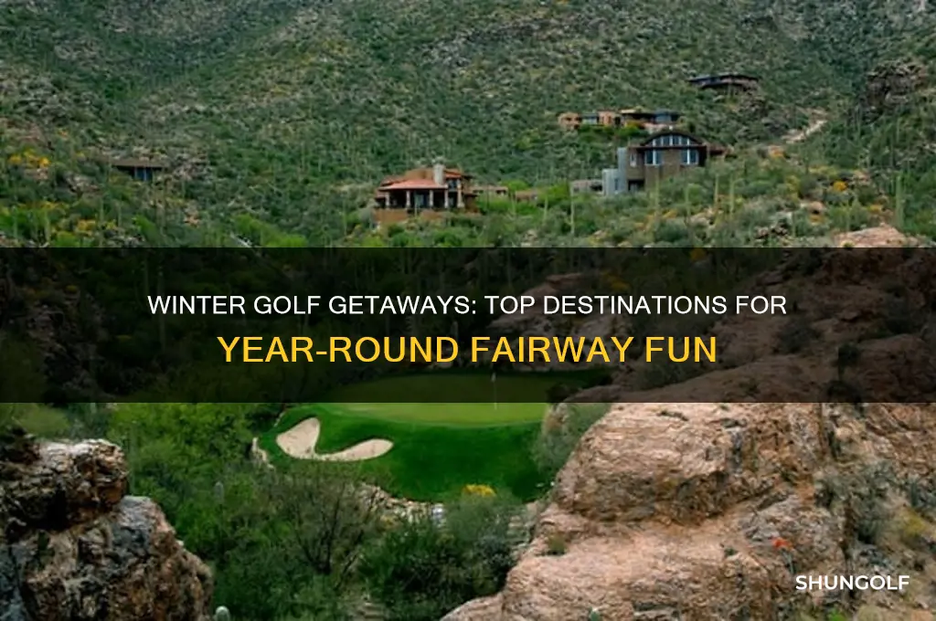 where to golf during the winter