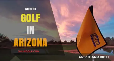 Arizona's Top Golf Courses: A Guide to Premier Desert Greens
