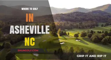 Discover Asheville's Top Golf Courses: A Guide to Tee Times