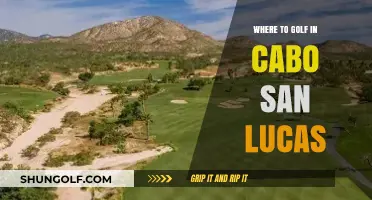 Top Cabo San Lucas Golf Courses: A Guide to the Best Greens