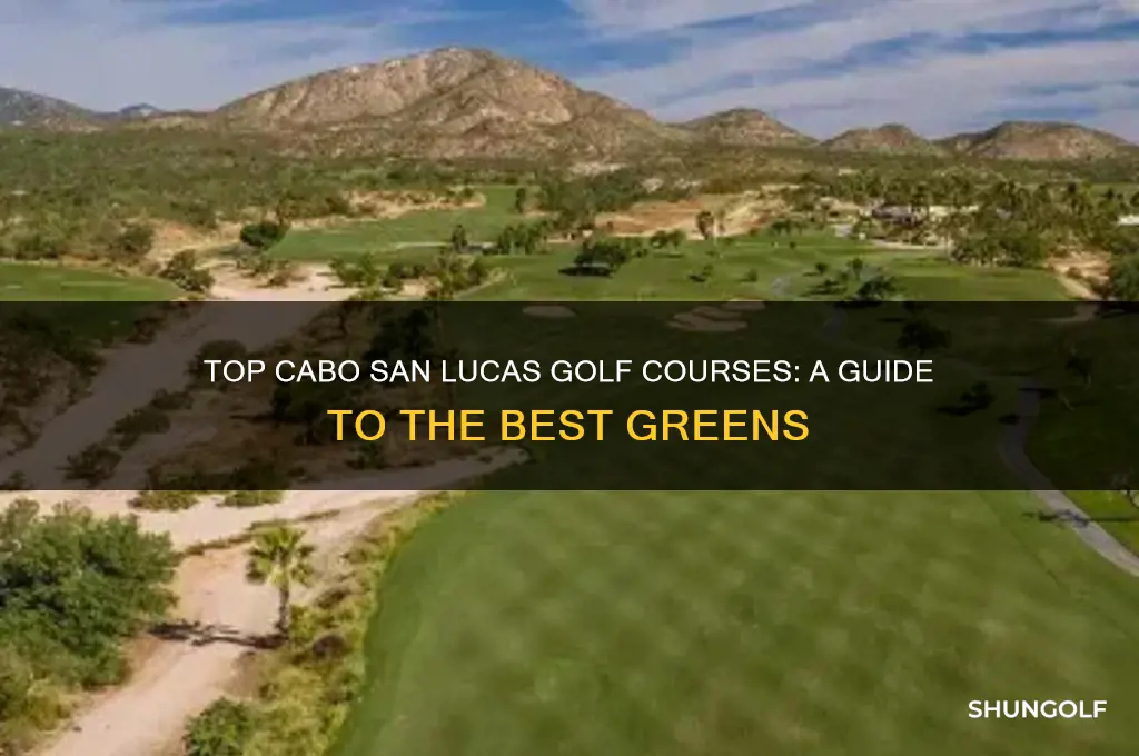 where to golf in cabo san lucas