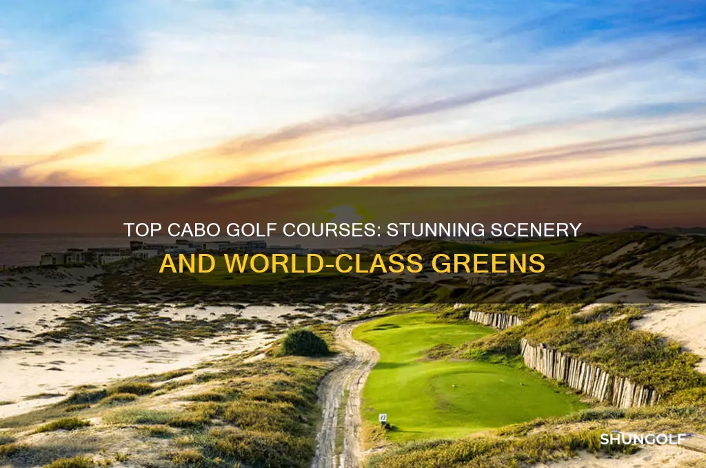 where to golf in cabo