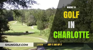 Top Charlotte Golf Courses: A Guide to the Best Greens