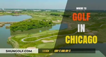 Top Chicago Golf Courses: A Guide to the Best Greens