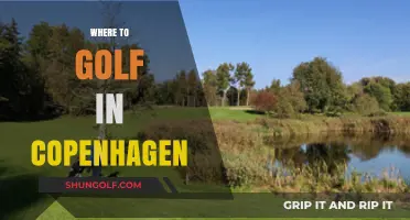Discover Copenhagen's Best Golf Courses: A Guide to Top Spots