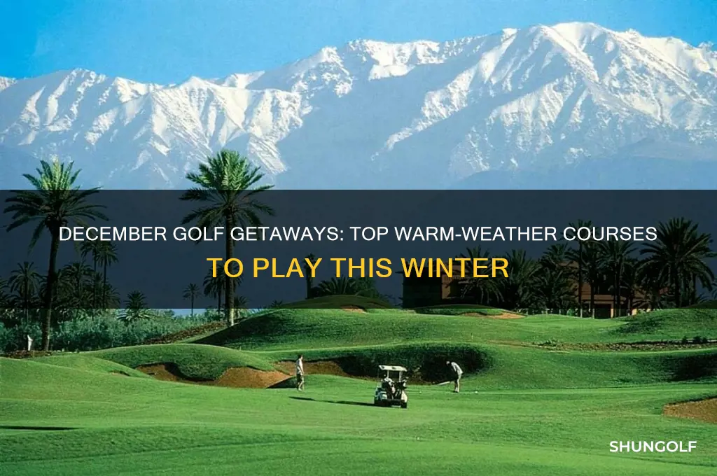 where to golf in december