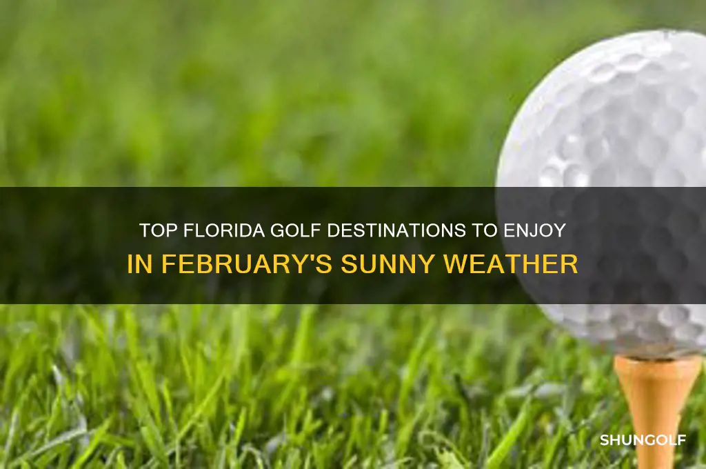 where to golf in fl in feb