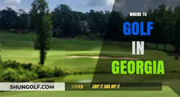 Discover Georgia's Top Golf Courses: A Guide to Premier Greens