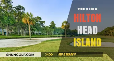 Top Hilton Head Island Golf Courses: A Guide to Premier Greens