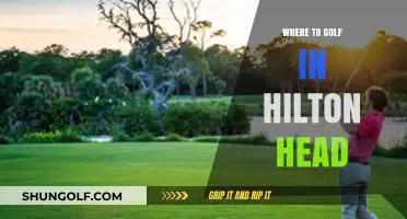 Top Hilton Head Golf Courses: A Guide to Premier Greens