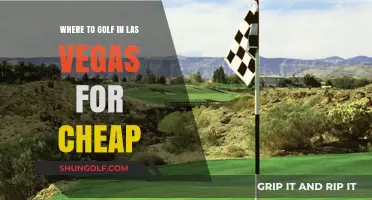 Budget-Friendly Golf Courses in Las Vegas: Swing Without Breaking the Bank