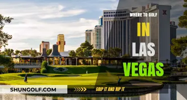 Top Las Vegas Golf Courses: Where to Swing in Sin City