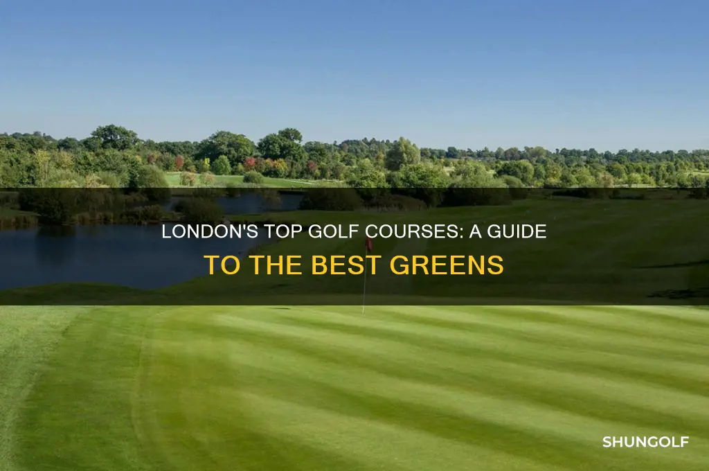 where to golf in london