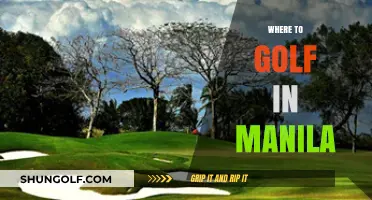 Top Golf Courses in Manila: A Guide to the Best Greens