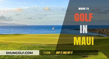 Maui's Top Golf Courses: Stunning Scenery and Premier Play