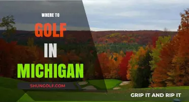 Discover Michigan's Best Golf Courses: Top Spots to Tee Off