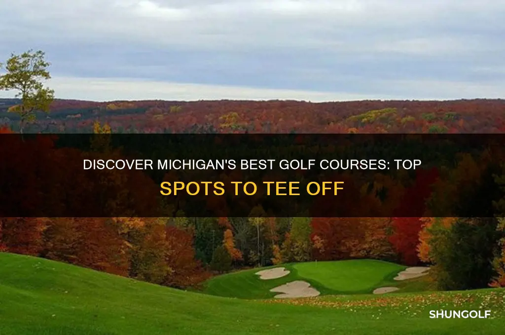 where to golf in michigan