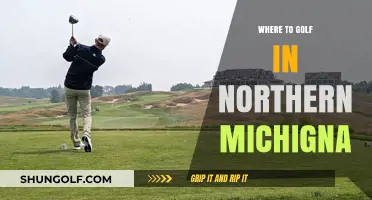 Discover Northern Michigan's Top Golf Courses: A Golfer's Paradise
