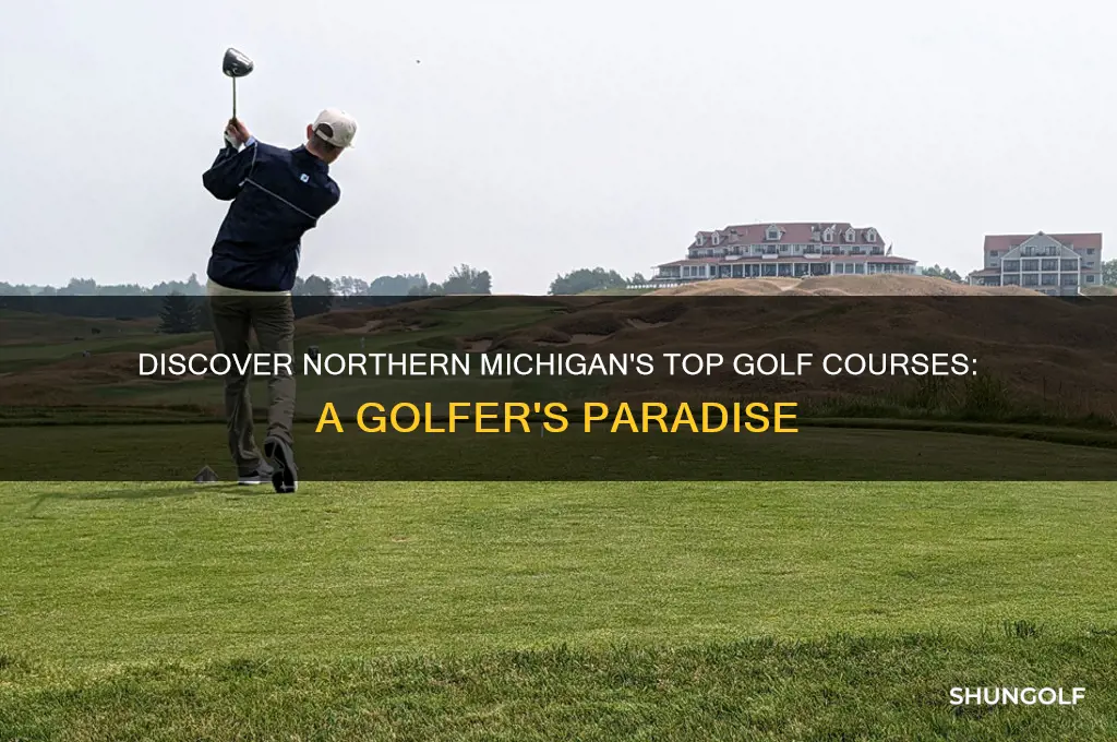 where to golf in northern michigna
