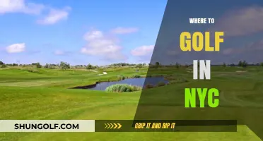 Discover NYC's Hidden Gems: Top Golf Courses in the City