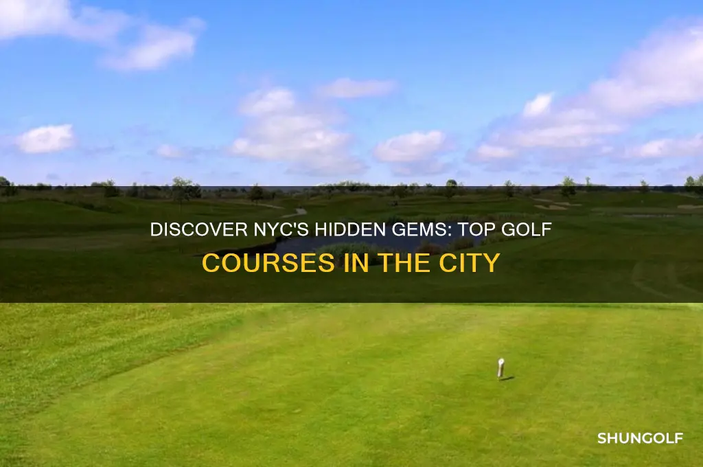 where to golf in nyc
