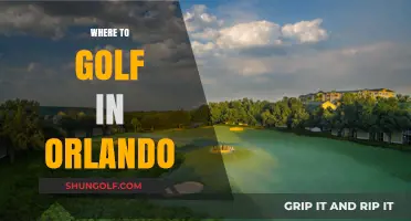 Orlando's Top Golf Courses: A Guide to Premier Greens and Fairways