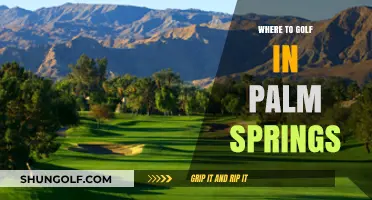 Top Palm Springs Golf Courses: A Guide to Desert Greens