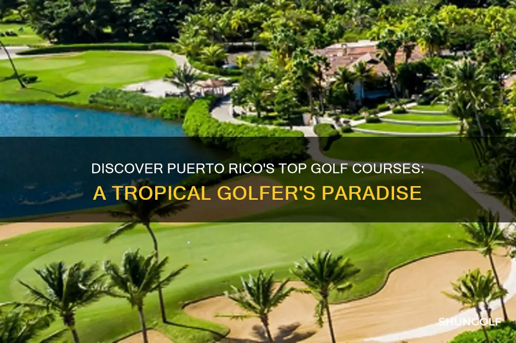 where to golf in puerto rico