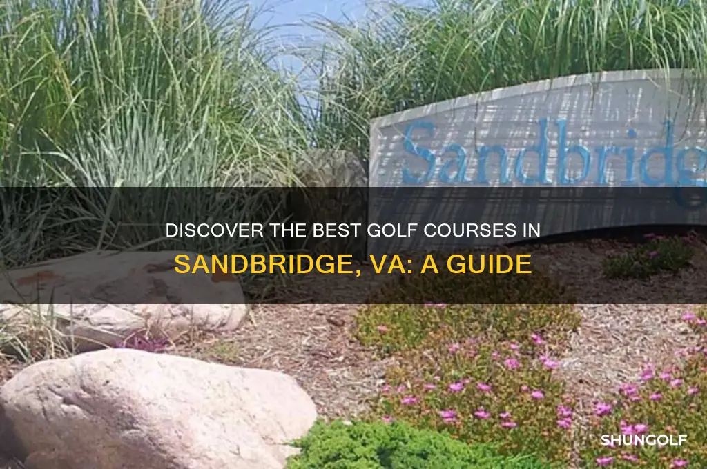 where to golf in sandbridge va