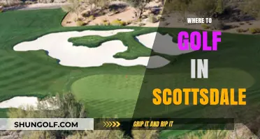 Top Scottsdale Golf Courses: A Guide to Premier Greens and Fairways