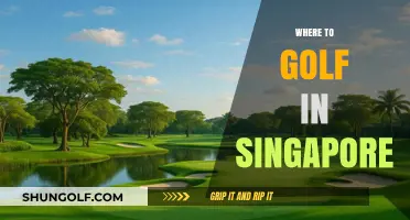 Top Golf Courses in Singapore: A Guide to the Best Greens