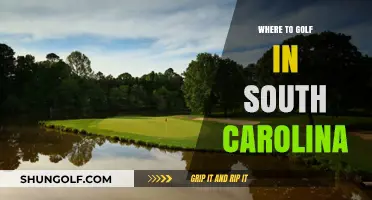 Discover South Carolina's Top Golf Courses: A Guide to Premier Greens