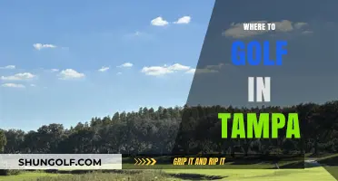 Discover Tampa's Top Golf Courses: A Guide to Premier Spots