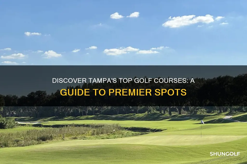 where to golf in tampa