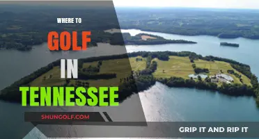 Discover Tennessee's Top Golf Courses: A Guide to Premier Greens