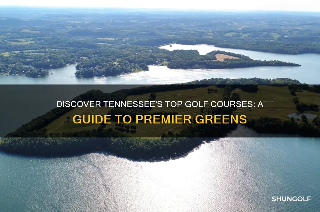 where to golf in tennessee