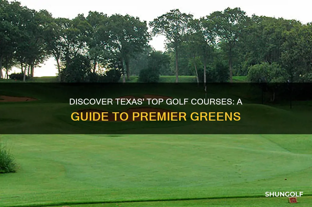 where to golf in texas