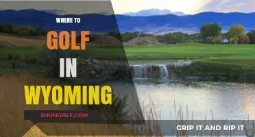 Wyoming's Top Golf Courses: Scenic Fairways and Mountain Views
