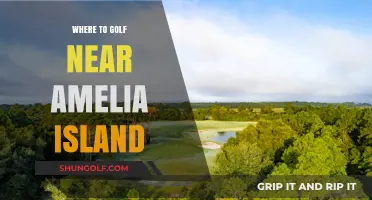 Top Golf Courses Near Amelia Island: A Golfer's Paradise Guide