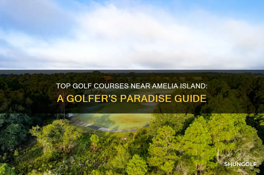 where to golf near amelia island