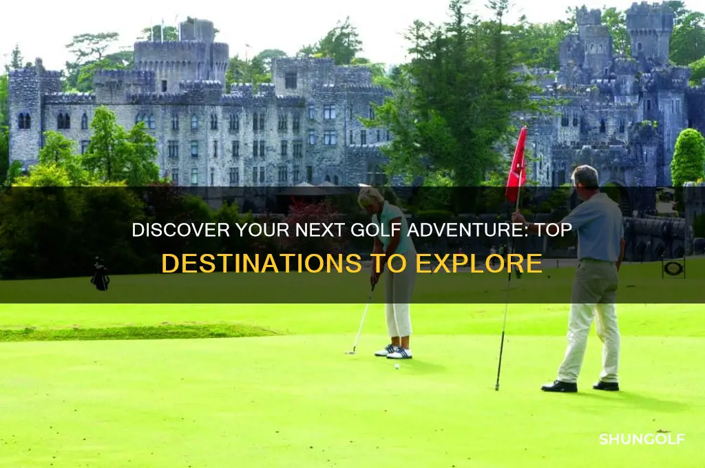 where to golf next