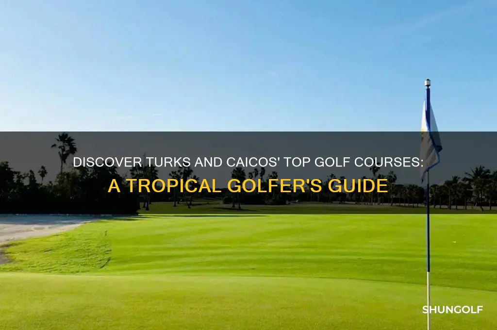 where to golf on turks and caicos