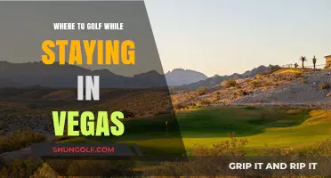 Top Vegas Golf Courses: Perfect Fairways Near Your Sin City Stay