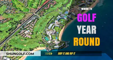 Perfect Fairways Anytime: Top Destinations for Year-Round Golfing Adventures