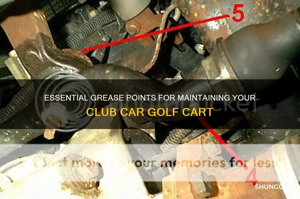 where to grease a club car golf cart
