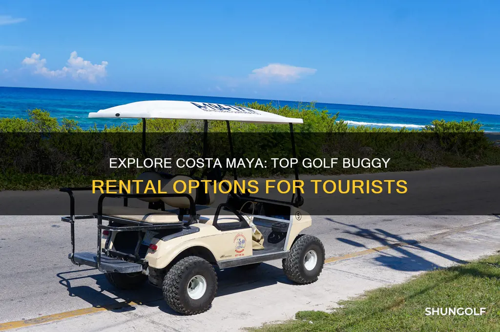 where to hire golf buggy in costa maya