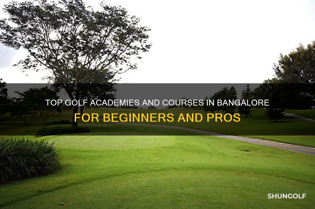 where to learn golf in bangalore