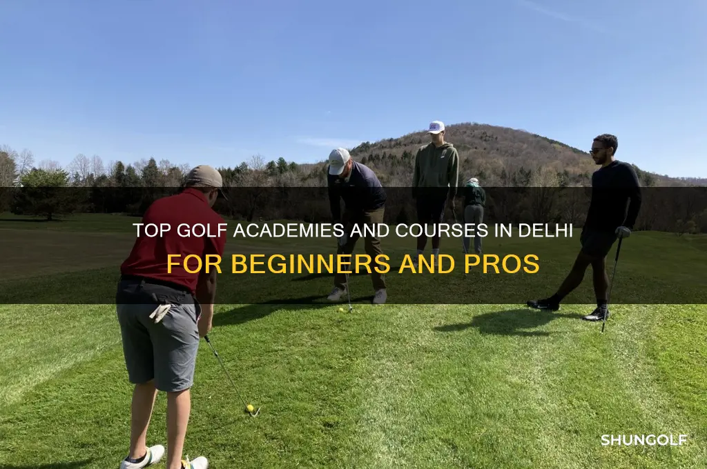 where to learn golf in delhi