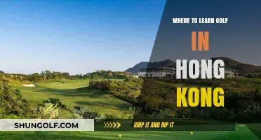 Discover Hong Kong's Top Golf Academies and Practice Ranges