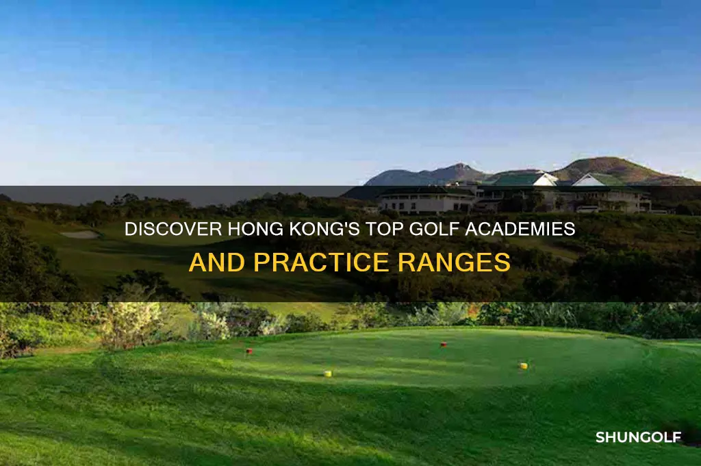 where to learn golf in hong kong